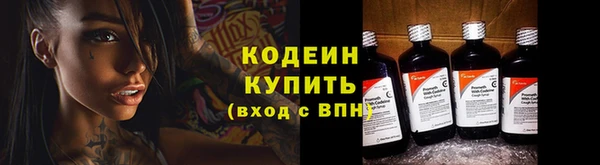 ECSTASY Няндома