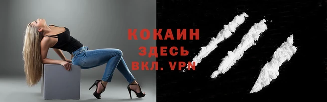 мяу мяу мука Новокубанск