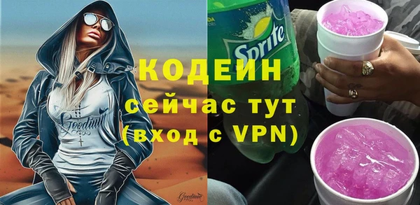 тгк Бикин
