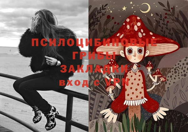марки lsd Новодвинск