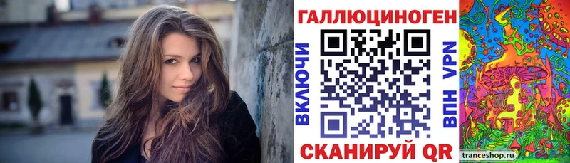 купить наркотики сайты  Кизляр  Галлюциногенные грибы Cubensis 